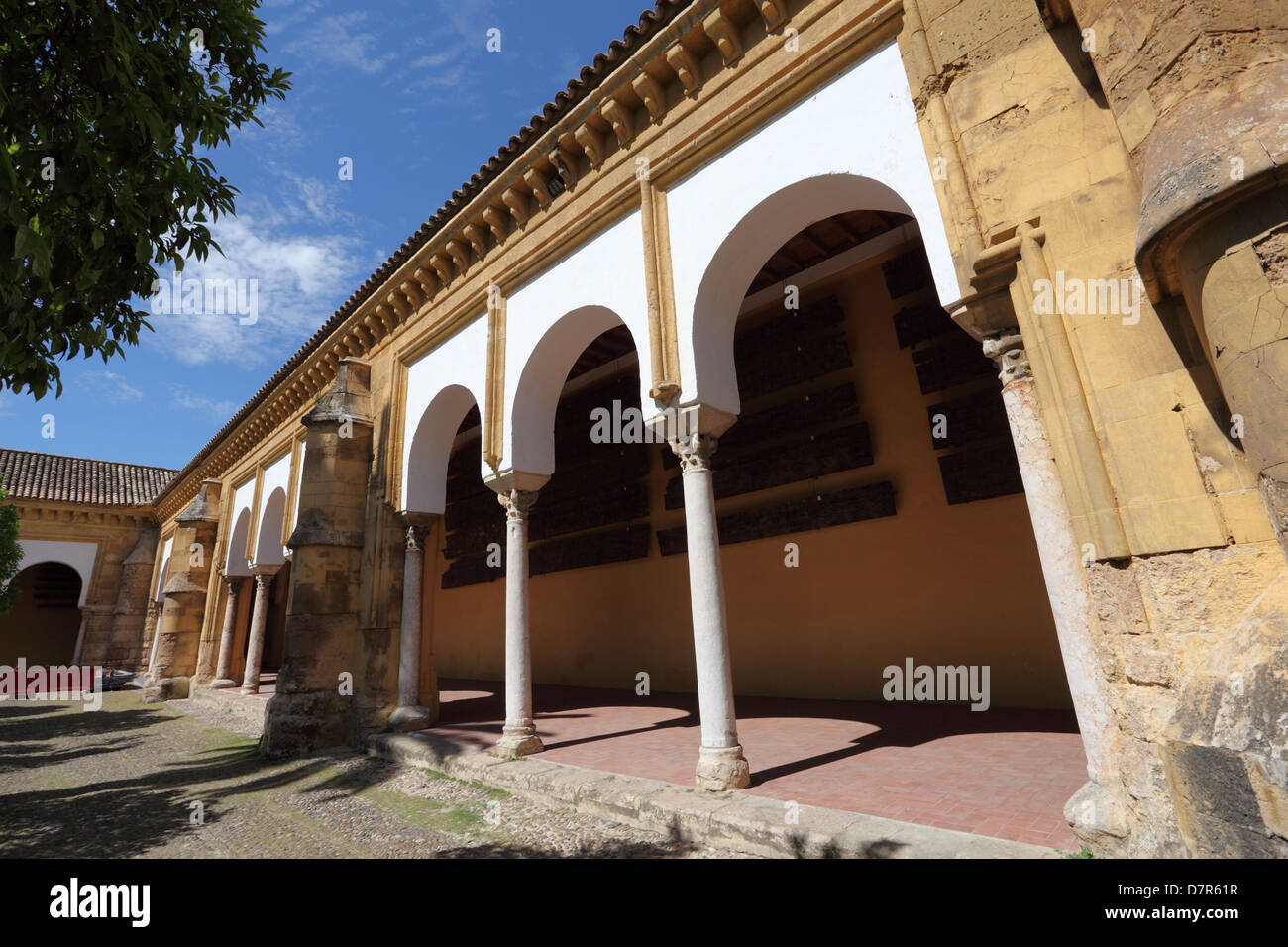 Patio of the mosque cathedral (Mezquita) in Cordoba, Andalusia Spain Stock Photo