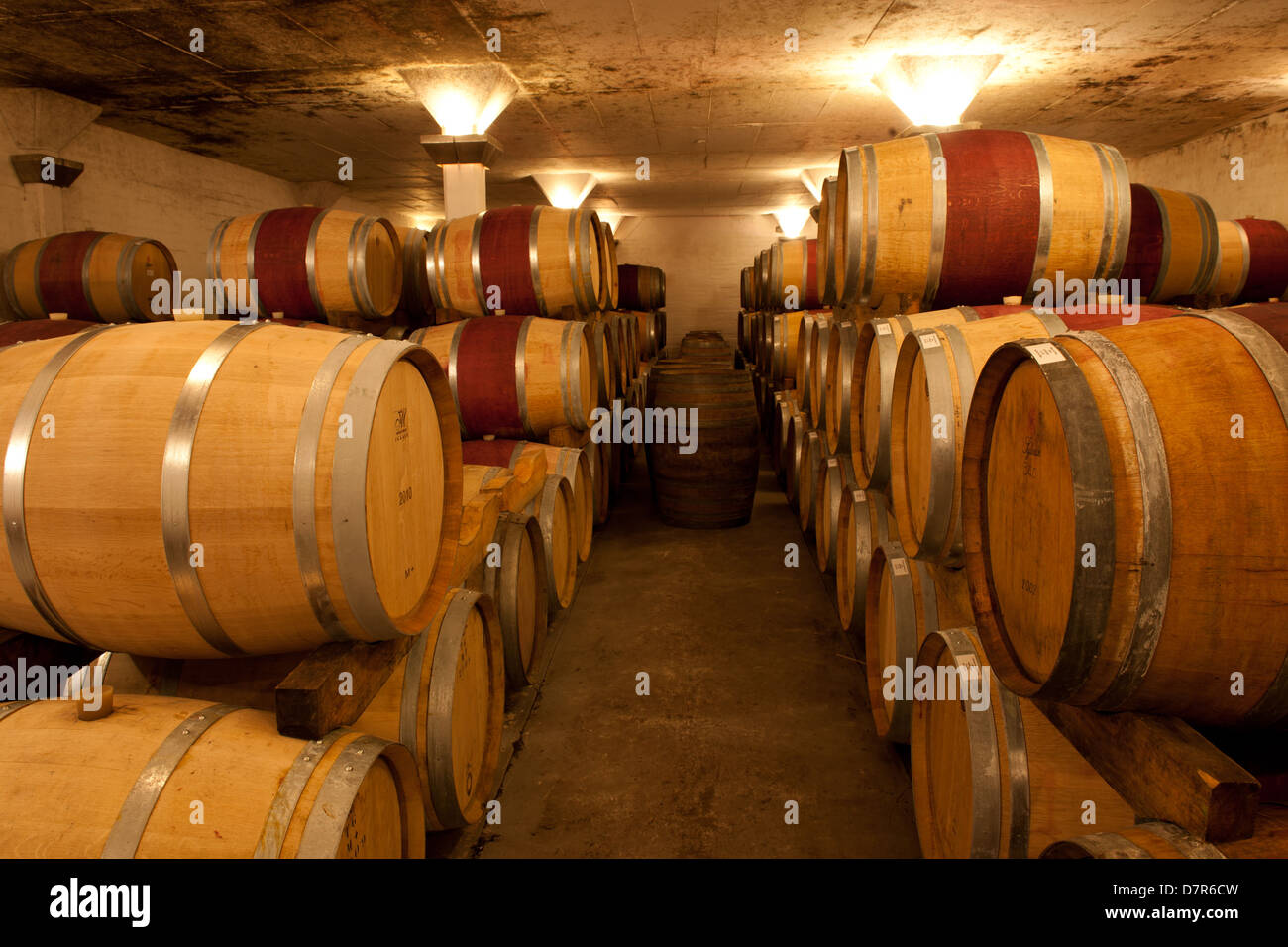 Wine cellar, Rickety Bridge wine estate, Franschhoek, South Africa
