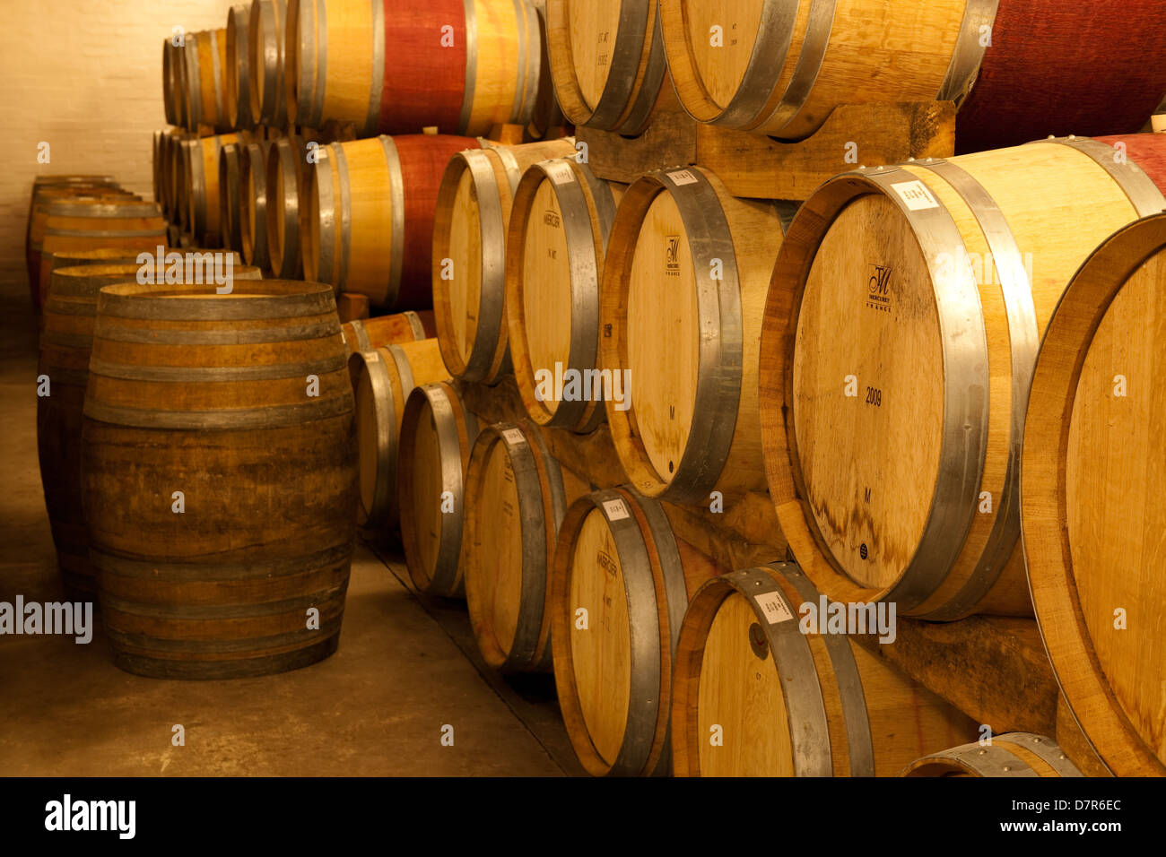 Wine cellar, Rickety Bridge wine estate, Franschhoek, South Africa