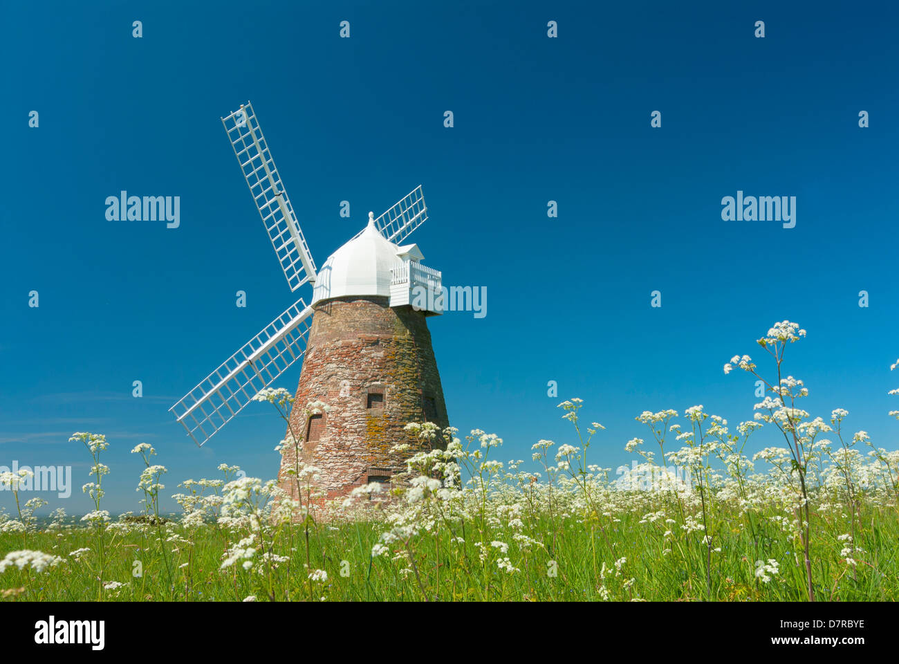 Halnaker windmill west sussex UK Stock Photo