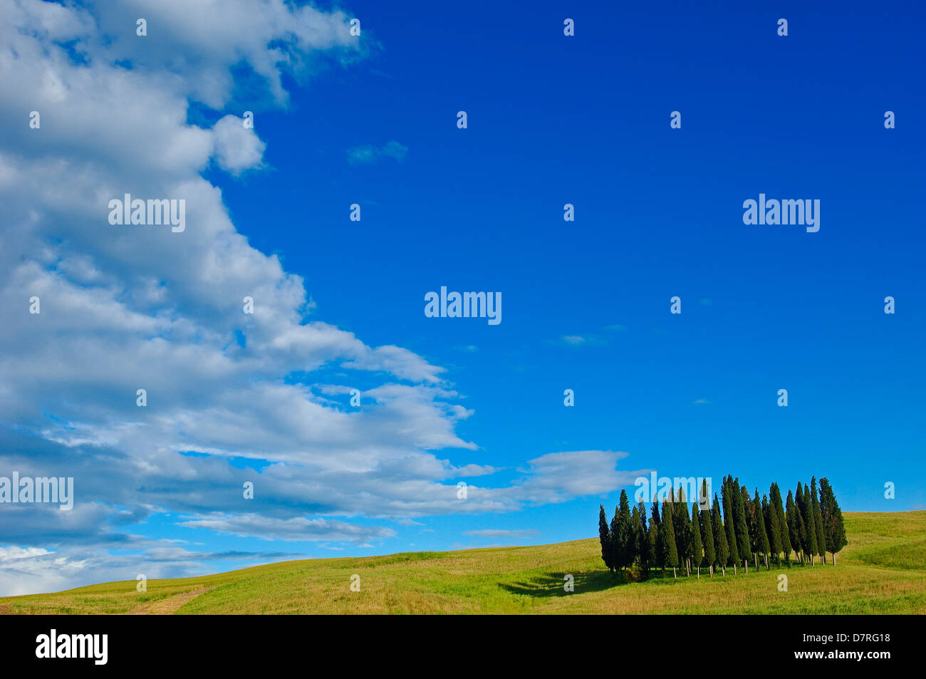 Val d'Orcia. Orcia Valley. UNESCO World Heritage Site. Cypress trees. San Quirico d'Orcia. Siena Province. Tuscany. Italy. Europ Stock Photo