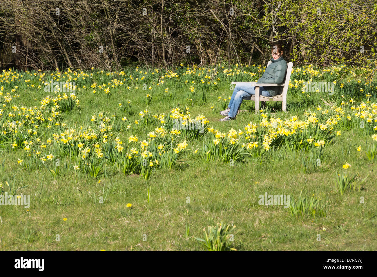 A woman sitting on a bench in the sunshine at Howick Hall in Northumberland. Stock Photo