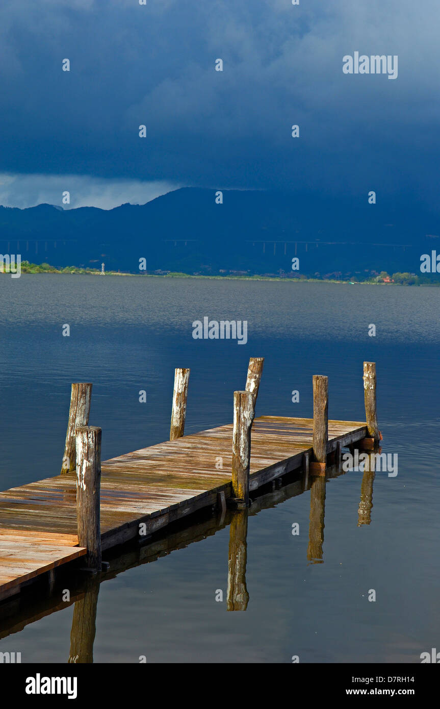 Massaciuccoli Lake, Torre del Lago Puccini, Viareggio, Lucca Province, Tuscany Italy Europe. Stock Photo