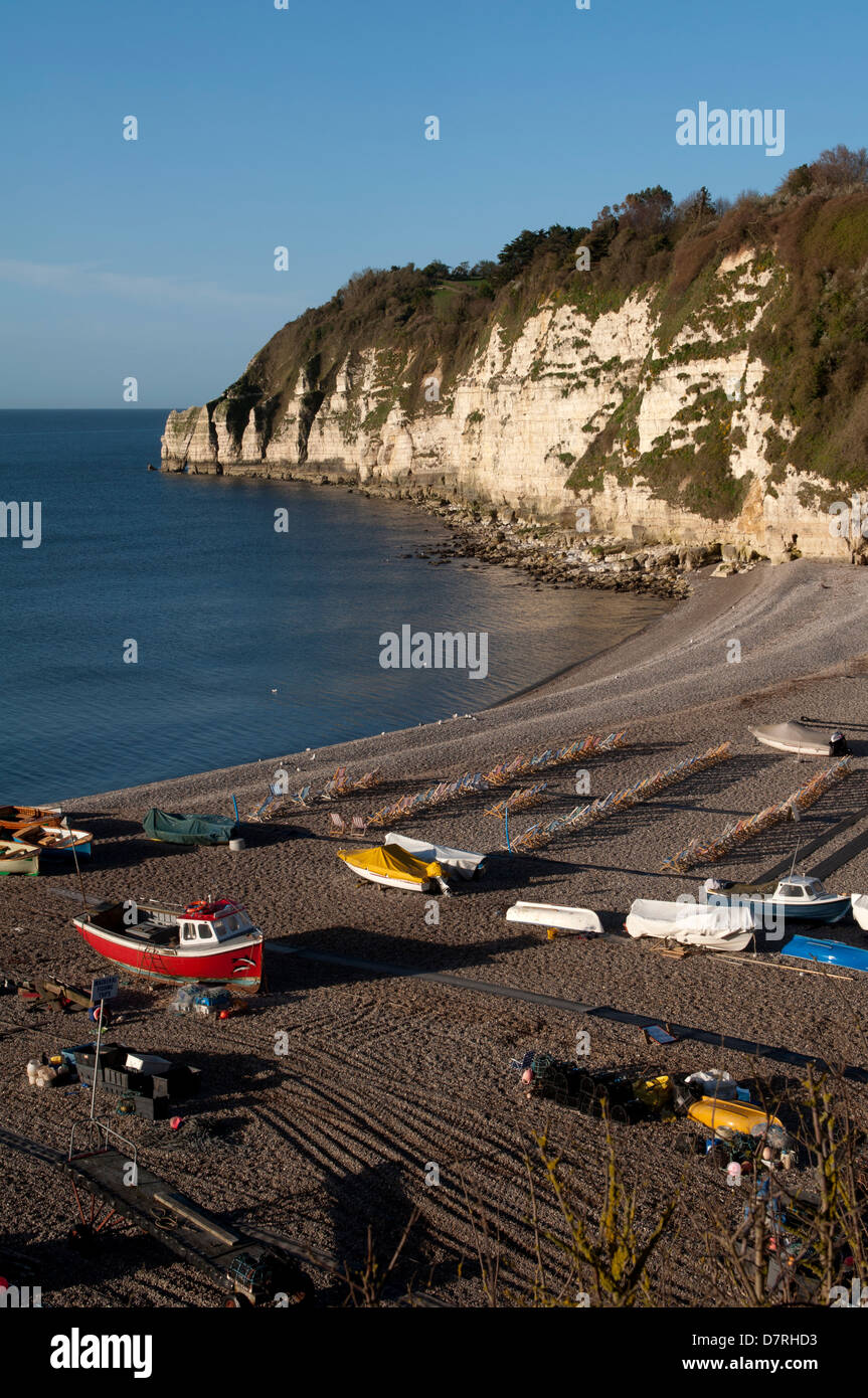 The beach and cliffs, Beer, Devon, England, UK Stock Photo - Alamy