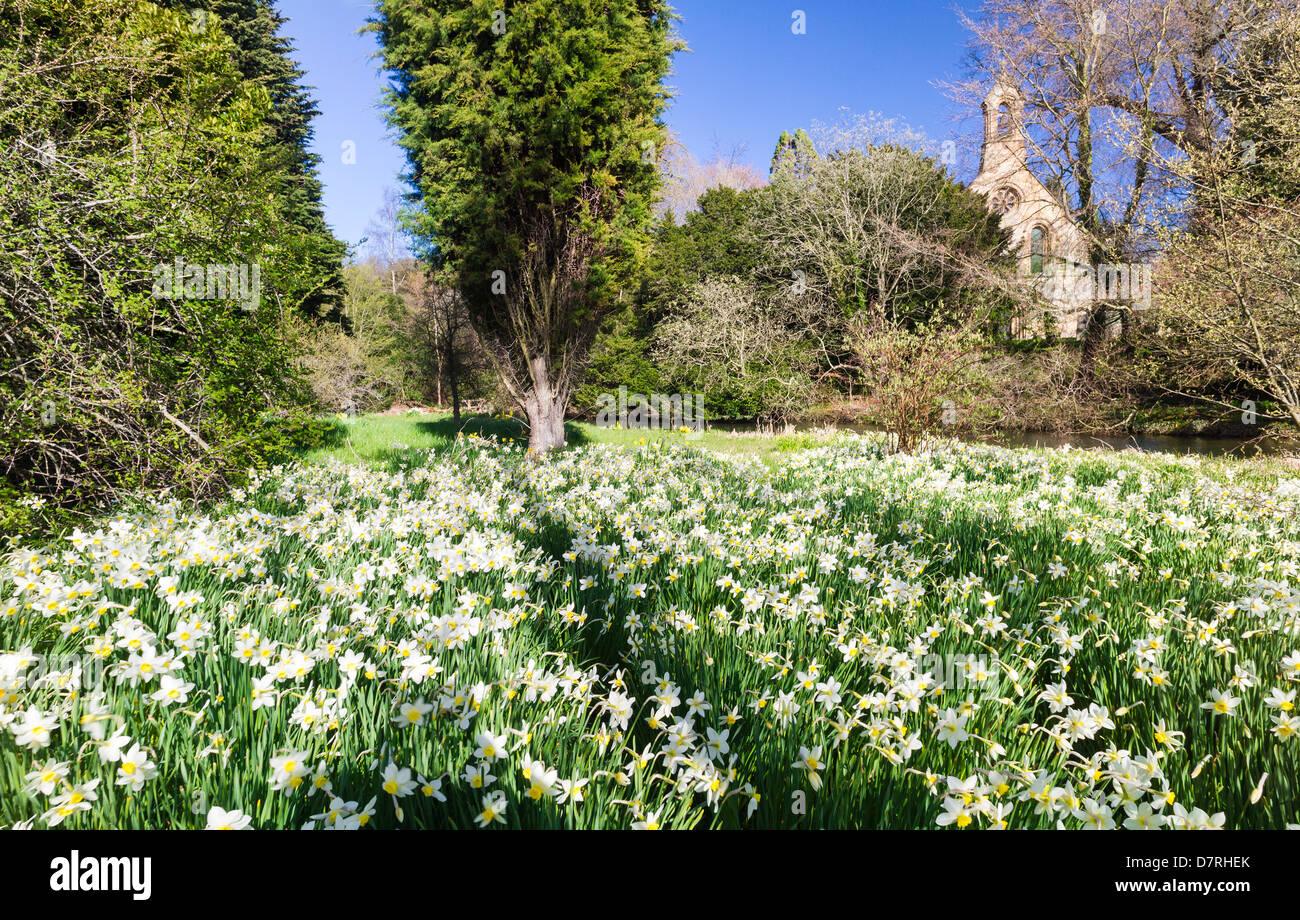 Howick hall and gardens hi-res stock photography and images - Alamy