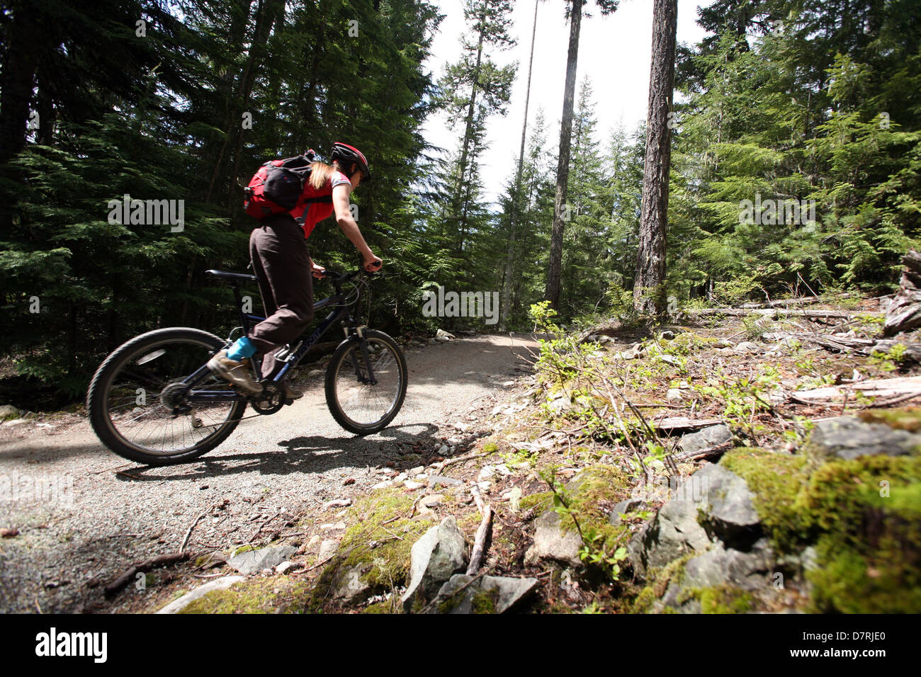 Mountain biking in Canada Stock Photo Alamy