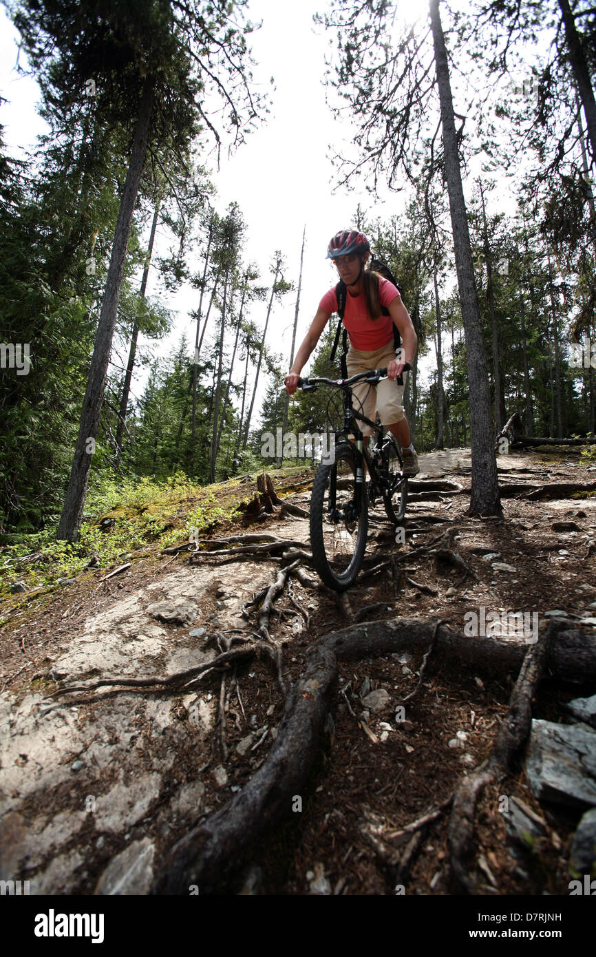 Mountain biking in Canada Stock Photo Alamy