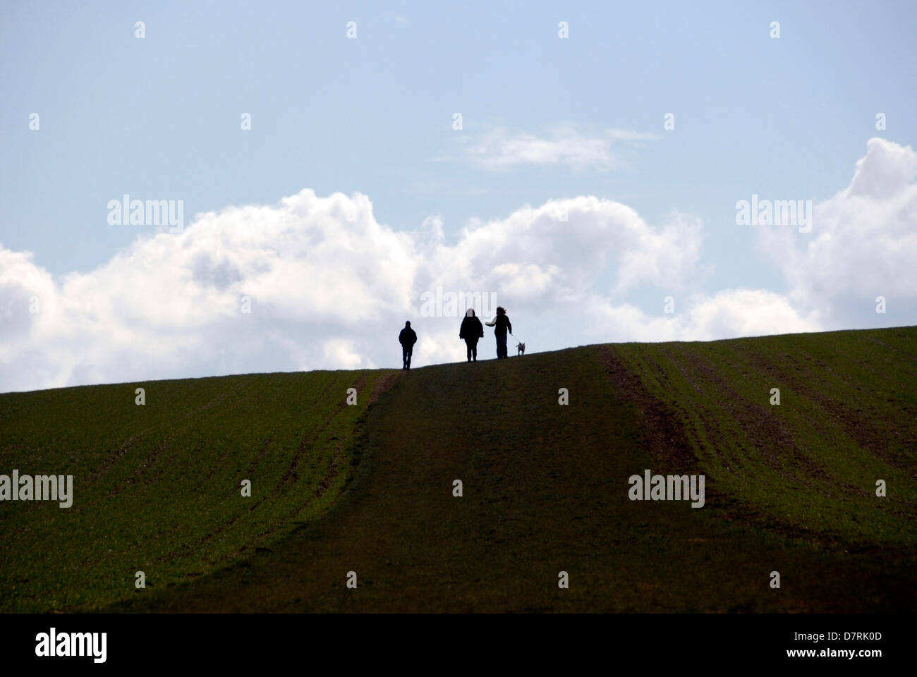 Walkers in Wiltshire England UK Stock Photo Alamy
