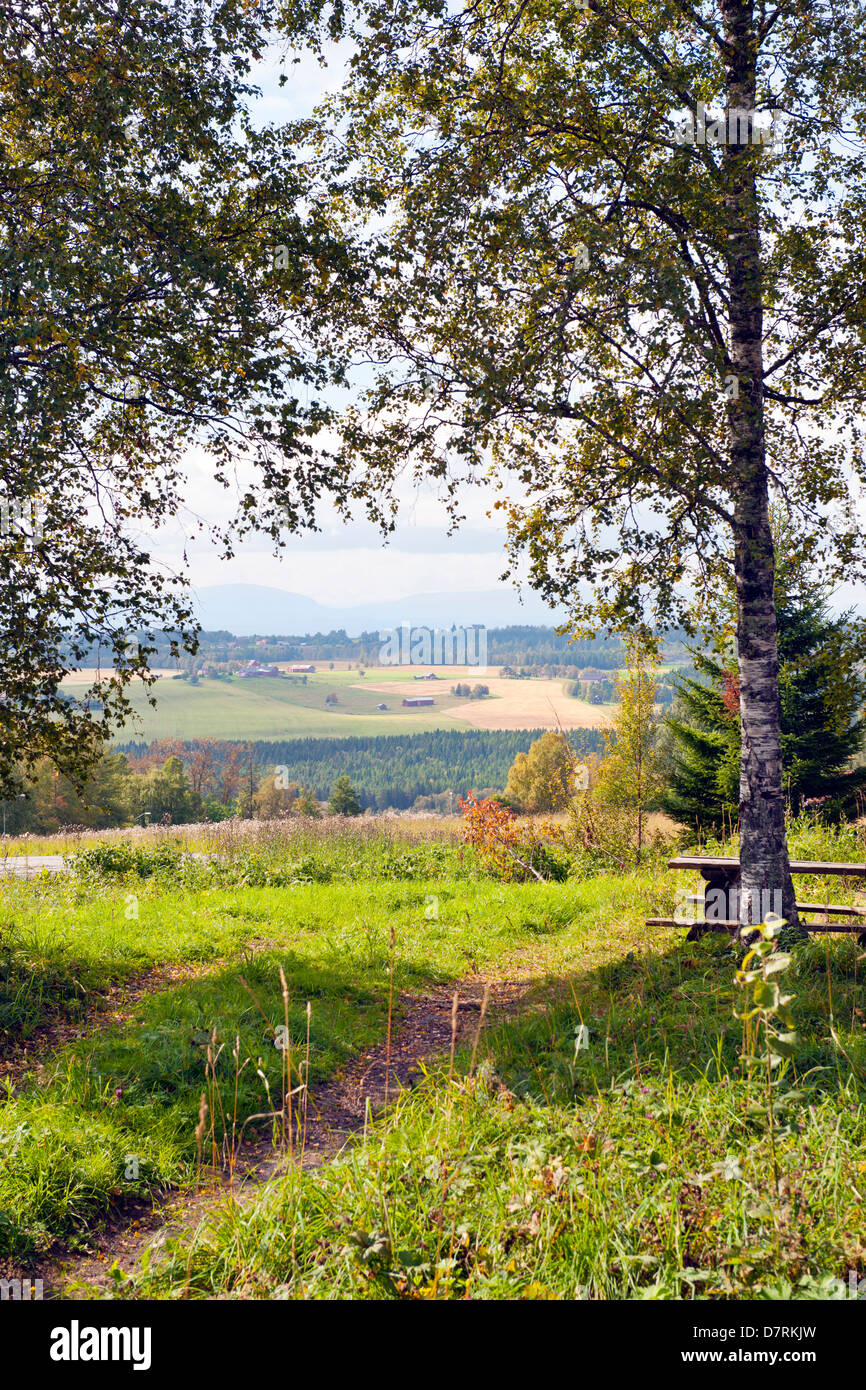 Sight from a viewpoint on Froson, Jamtland, Sweden Stock Photo - Alamy