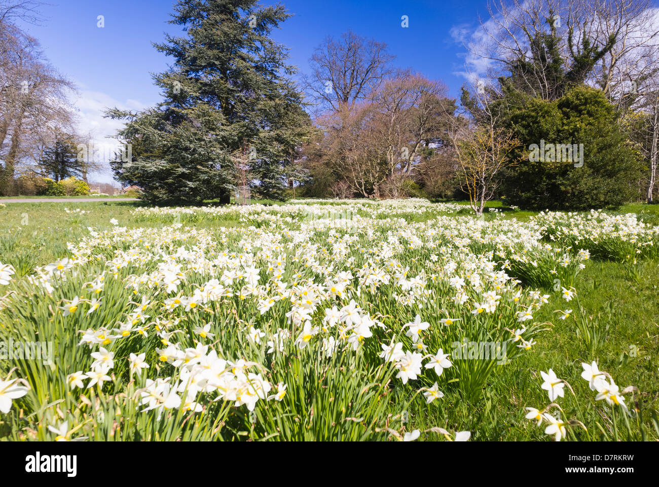 Howick hall and gardens hi-res stock photography and images - Alamy