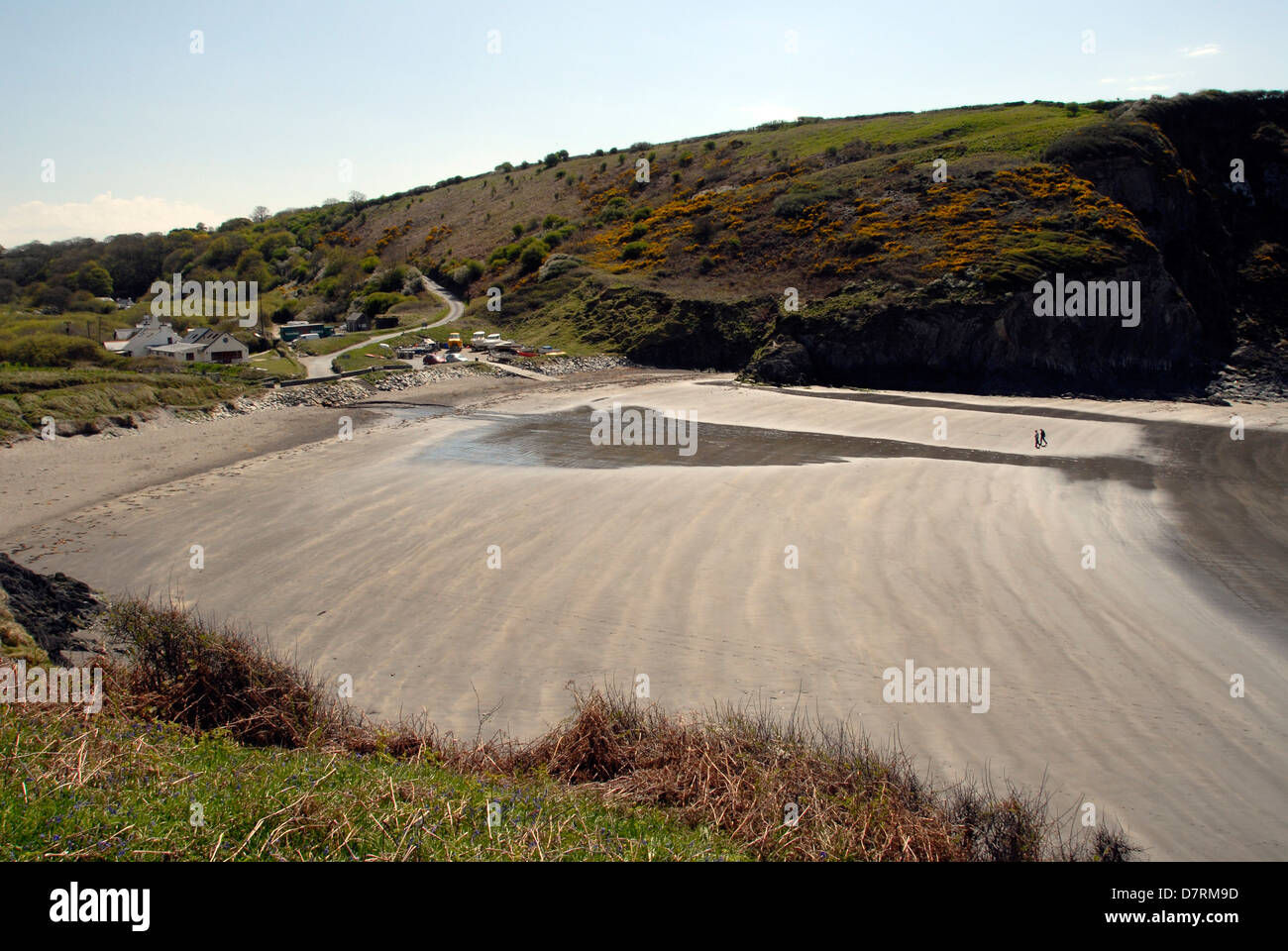 pwllgwaelod-beach-at-dinas-island-pembrokeshire-england-uk-stock