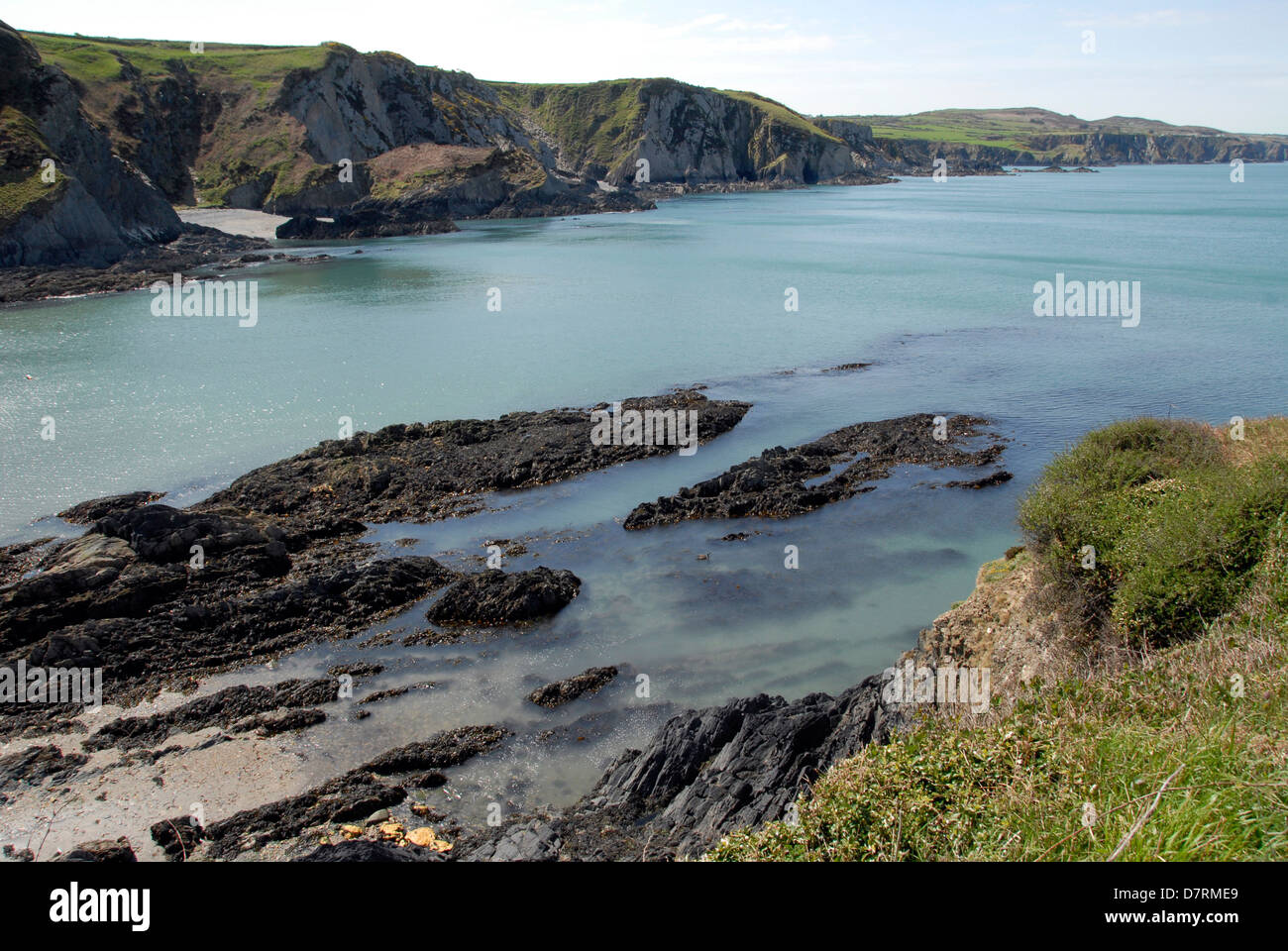pwllgwaelod-beach-at-dinas-island-pembrokeshire-england-uk-stock