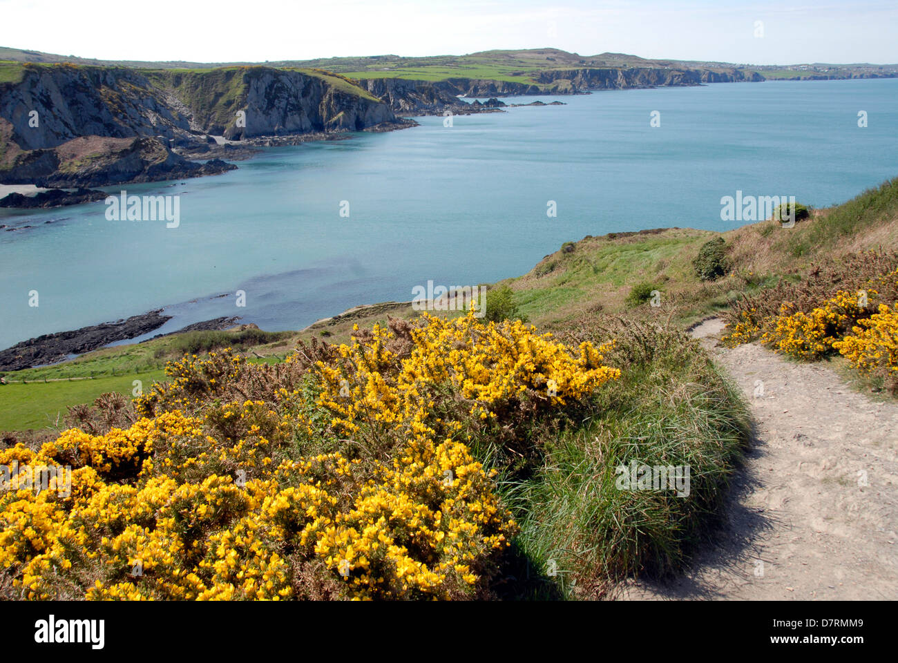 Dinas Island Walk Path Coast Pembrokeshire Wales Hi res Stock 