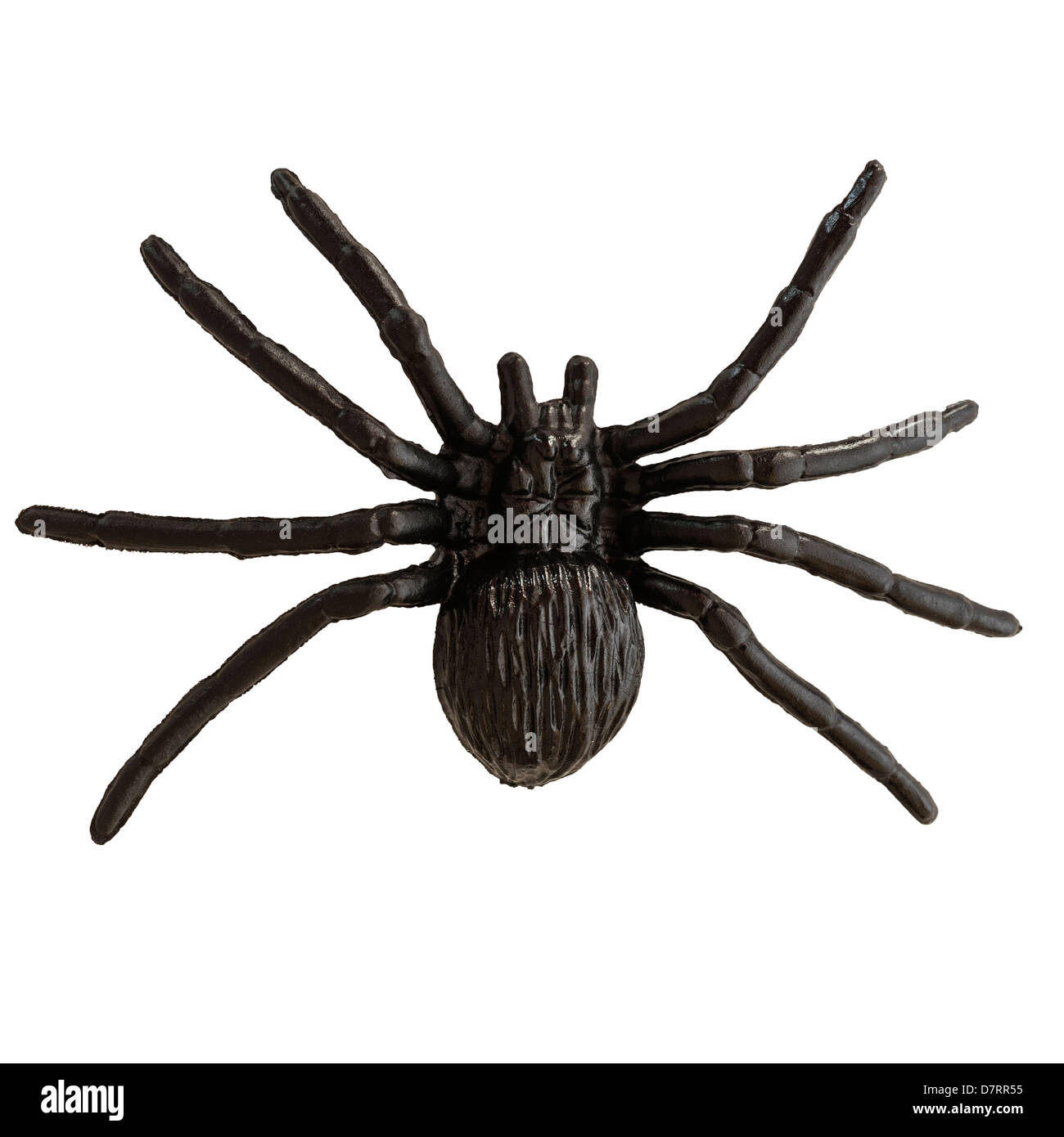 A toy spider on a white background Stock Photo