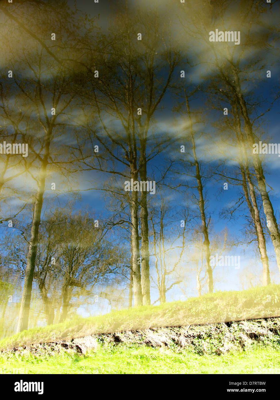 Reflections of river bank trees and the sky in the River Mole at Betchworth in Surrey in May Stock Photo