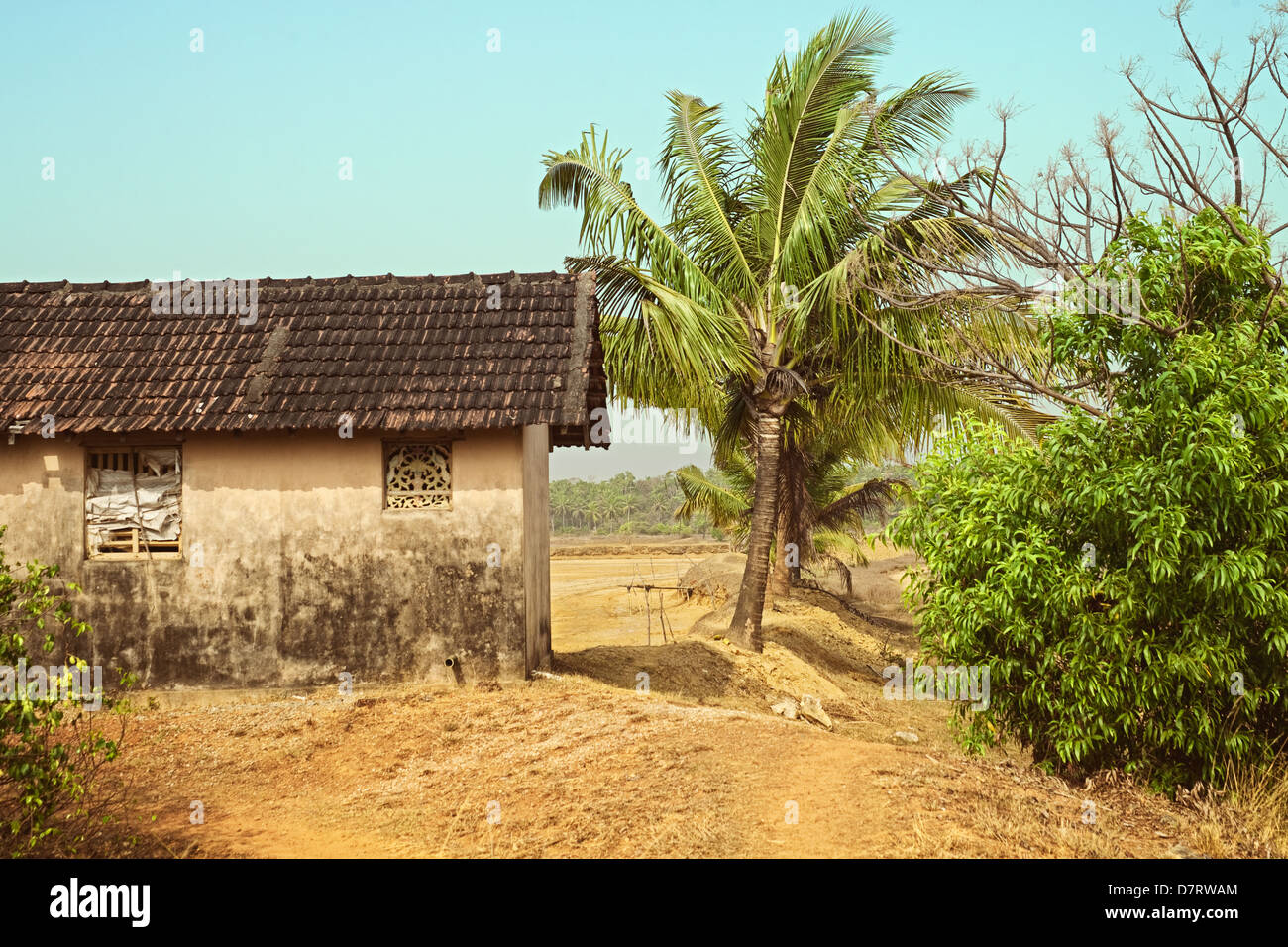 Rural old house against the jungle and sky Stock Photo