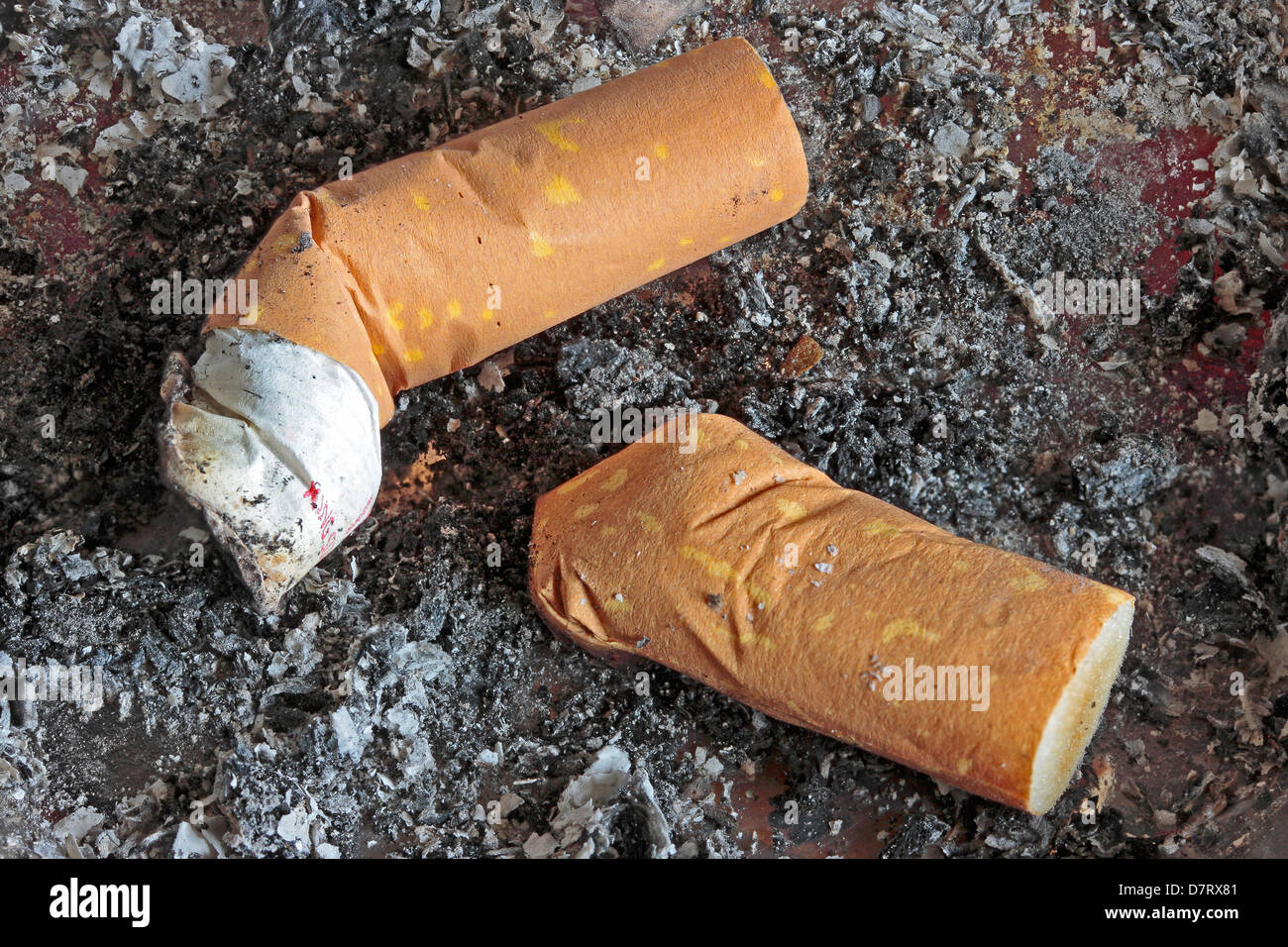 Two stubbed out cigarette butts in an ash tray Stock Photo - Alamy