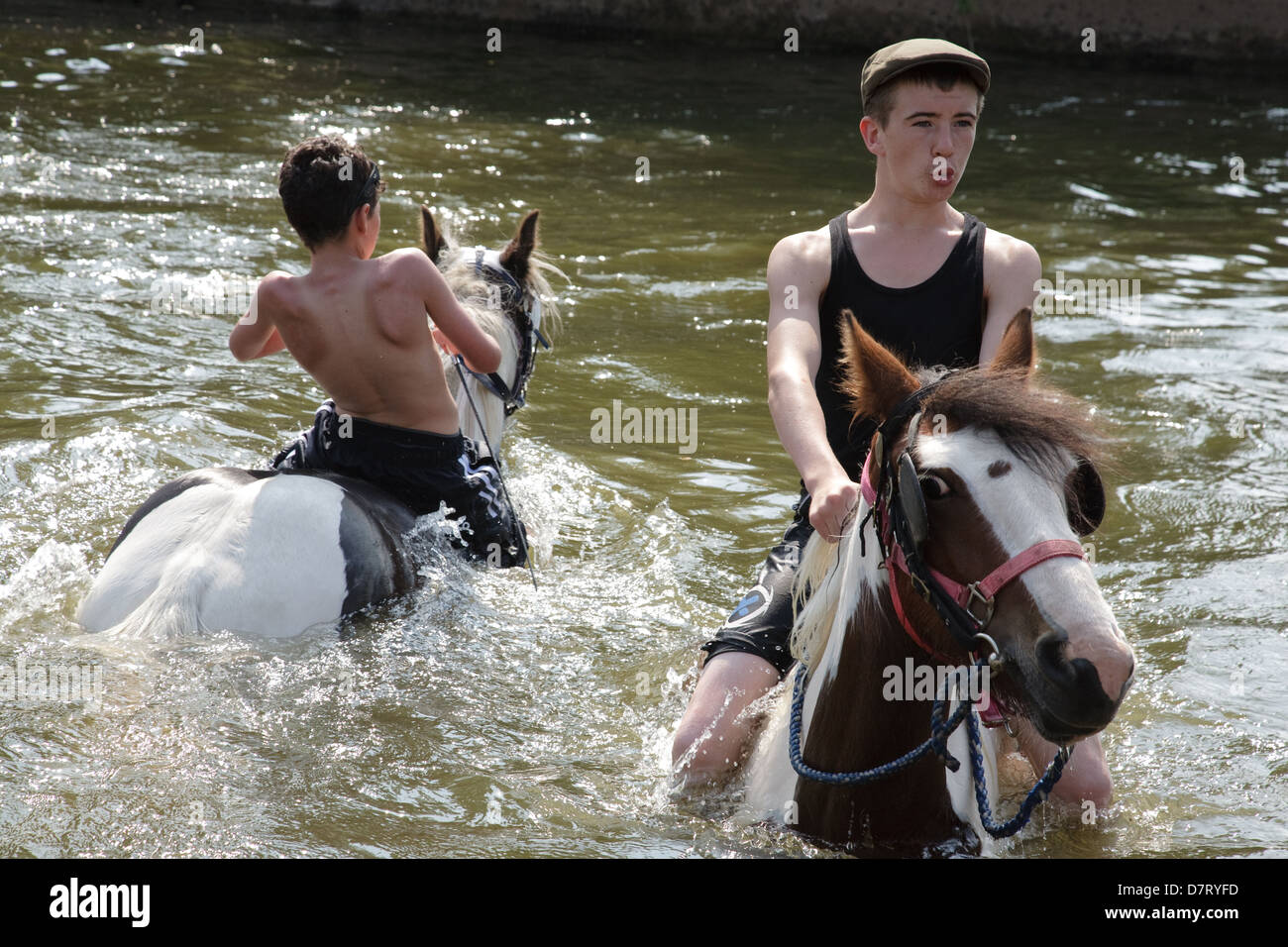 Gypsy boys swimming horse appleby hi-res stock photography and images ...