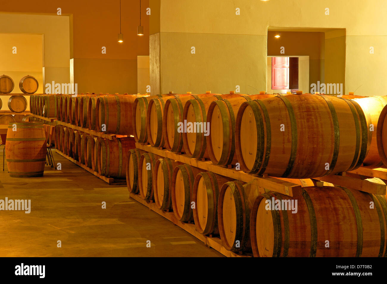 Chianti, Castello di Brolio cellar , Brolio Castle Cellar, Ricasoli Vineyard, Siena Province, Tuscany, Italy Stock Photo