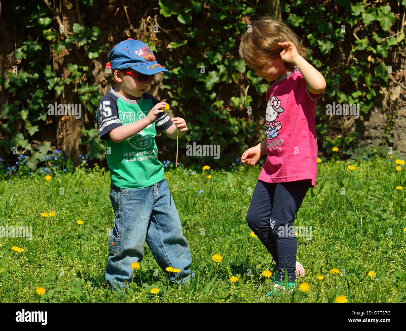 4 year old little boy and girl playing on the backyard with dandelions Stock Photo