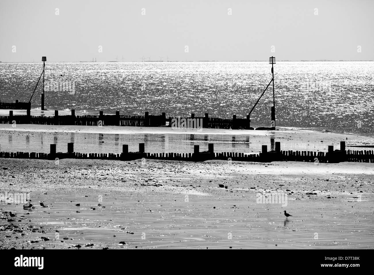 The beach at Hunstanton in afternoon sunlight Stock Photo Alamy
