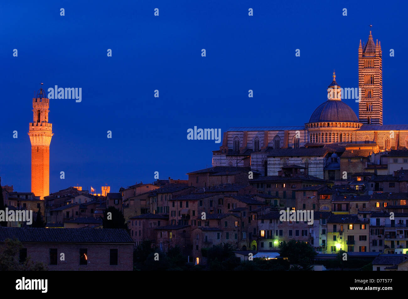Siena, Duomo, Cathedral, Duomo Cathedral at Dusk Torre del Mangia, Mangia Tower, UNESCO World Heritage Site,Tuscany, Italy, Stock Photo