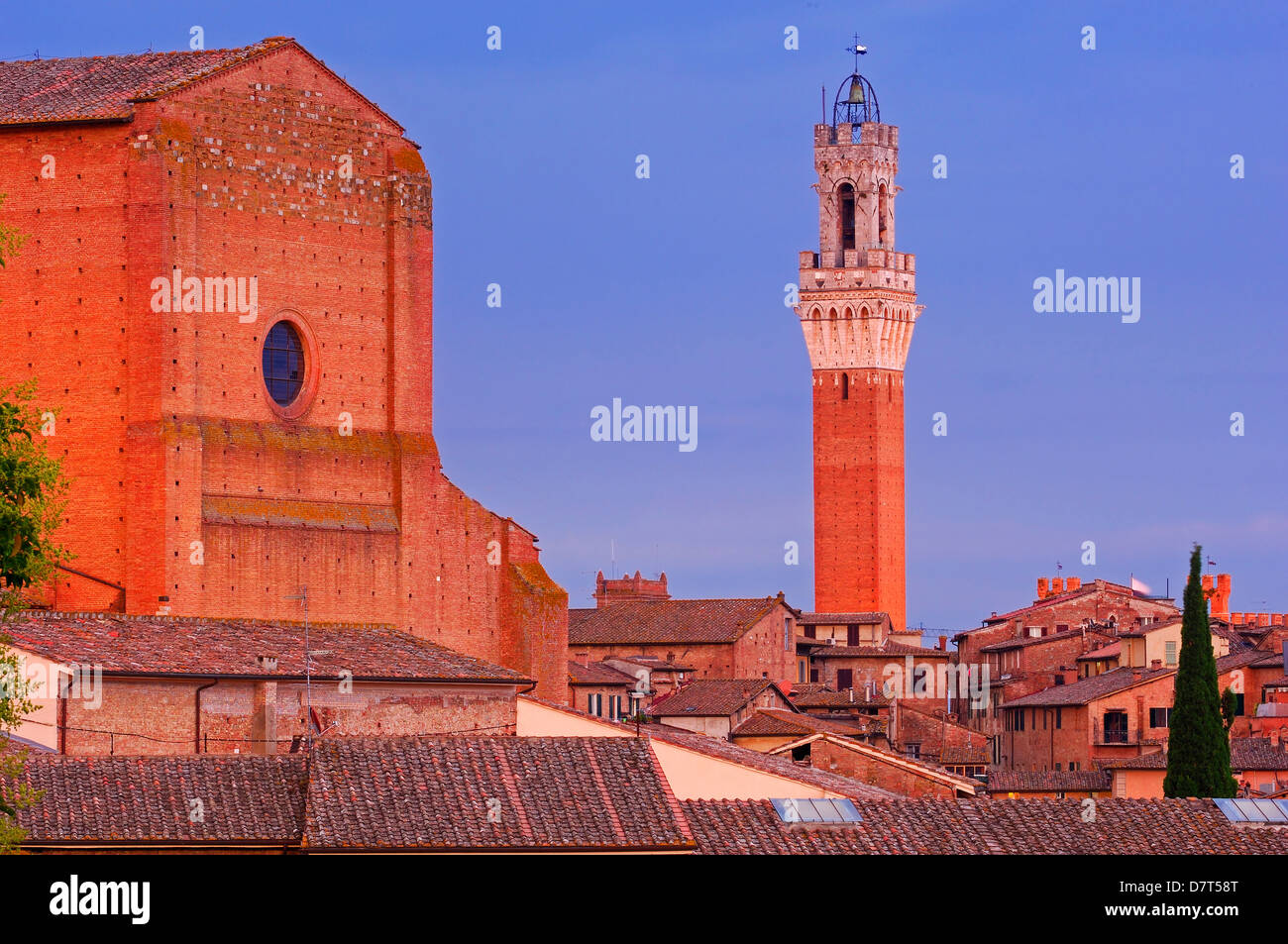 Siena, Torre del Mangia at Dusk, Mangia Tower at Dusk, UNESCO World Heritage Site,Tuscany, Italy, Stock Photo