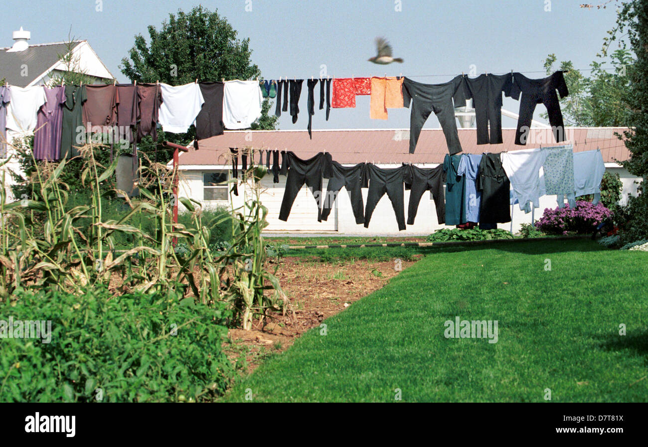 Clean Clothes on close line Pennsylvania Dutch garden farm, washed clothes, clothes, washed clothes hung to dry, dry clothes, Stock Photo
