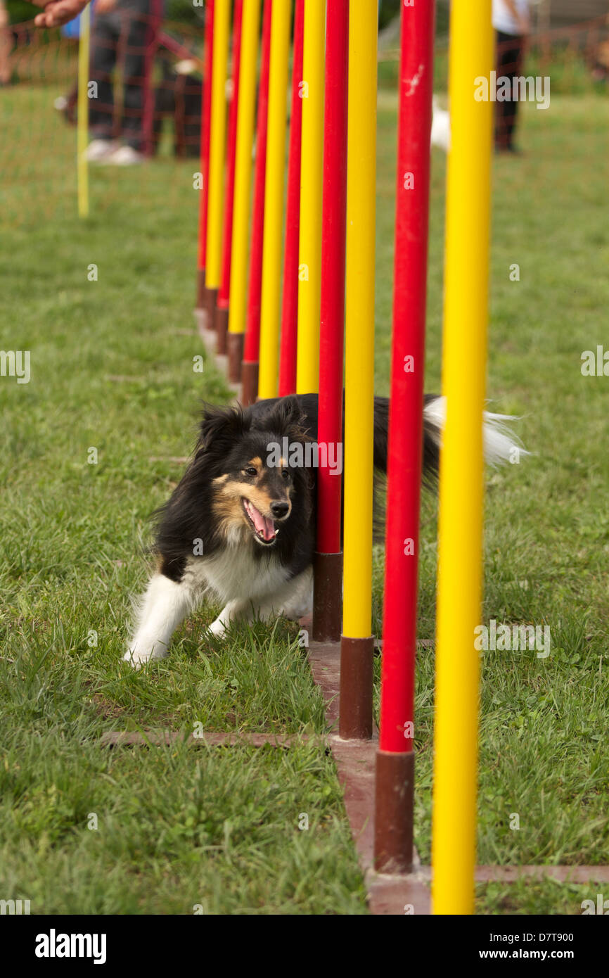 Agility bridge hires stock photography and images Alamy