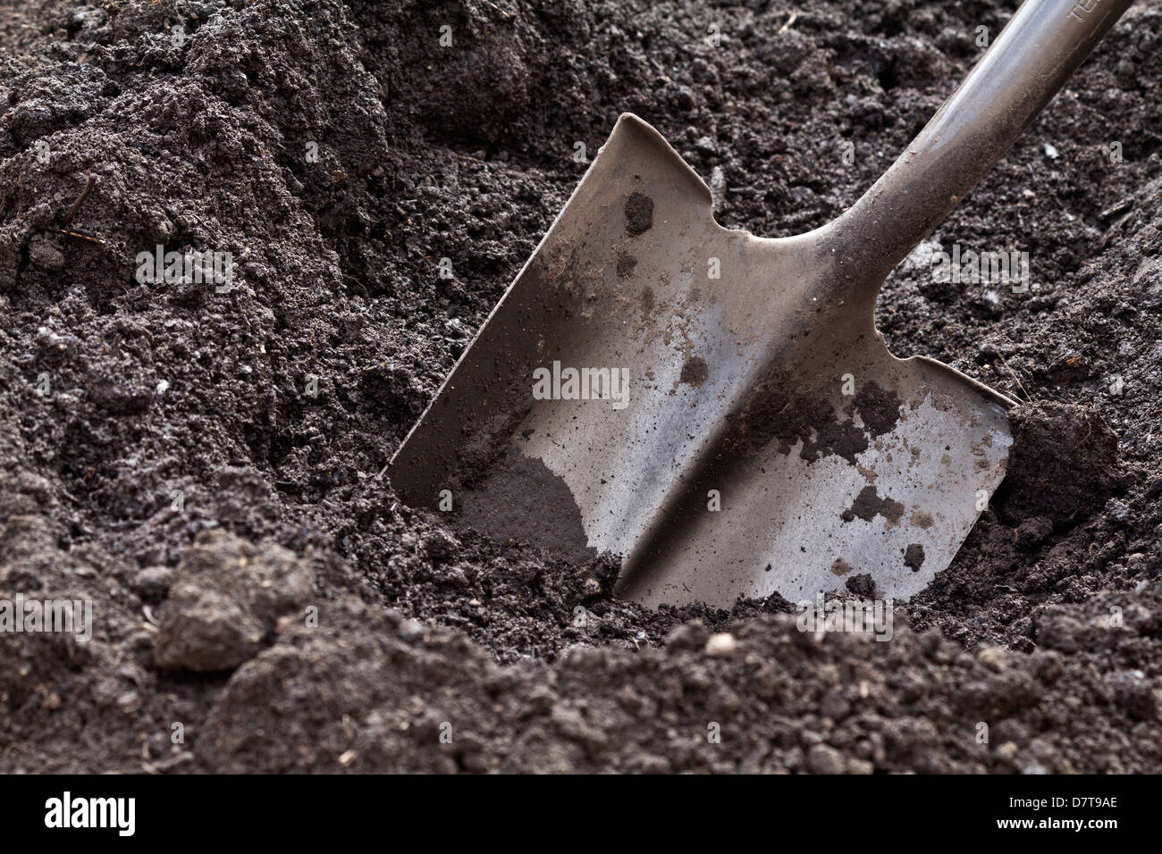 A spade in a soil in raised empty bed in the garden closeup from above ...