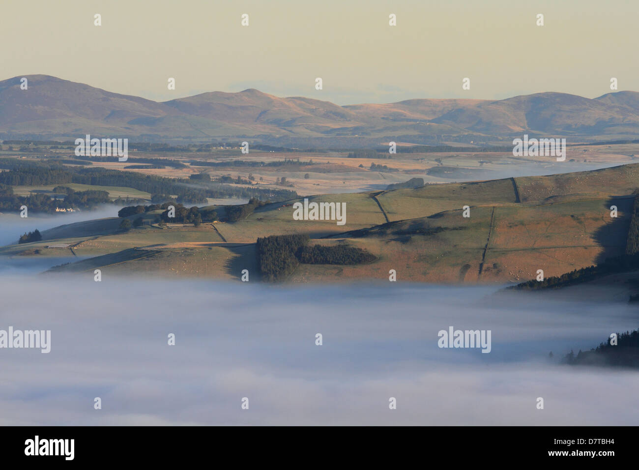 Morning mist towards Eddleston, Scottish Borders Stock Photo Alamy