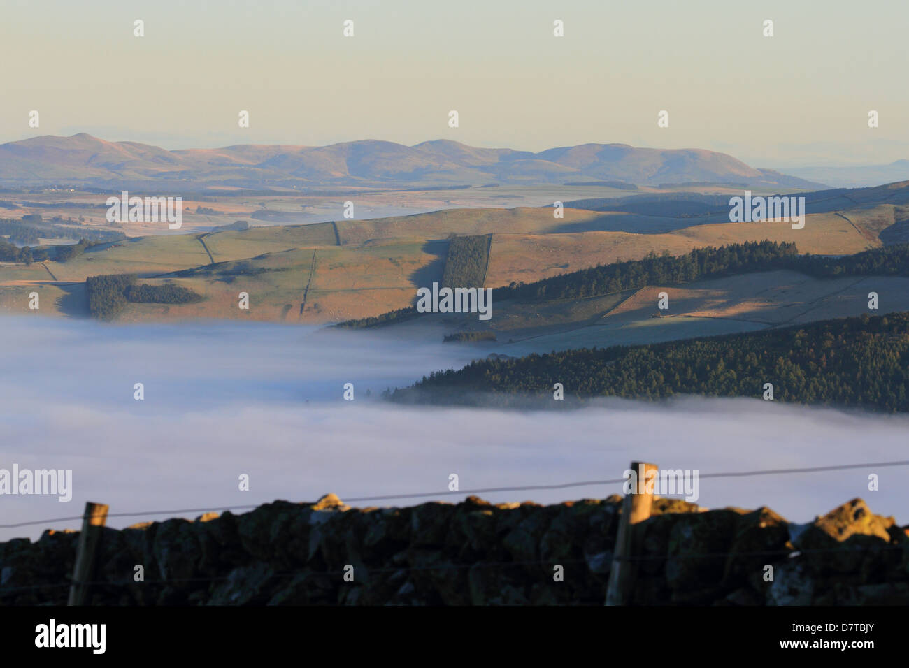 Morning mist towards Eddleston, Scottish Borders Stock Photo Alamy