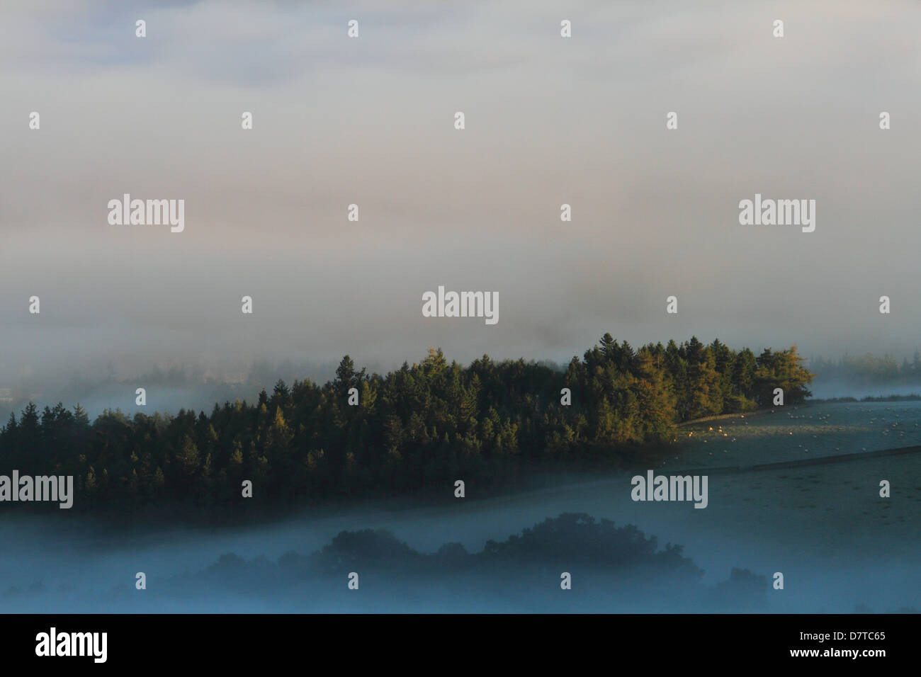 Pretty morning light hi-res stock photography and images - Alamy