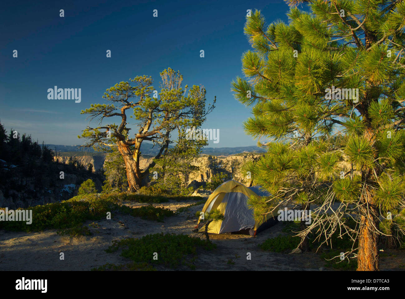 Camping on Hell's Backbone, Dixie National Forest, Escalante, Utah