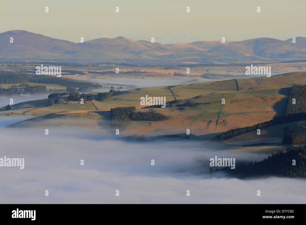 Morning mist towards Eddleston, Scottish Borders Stock Photo Alamy