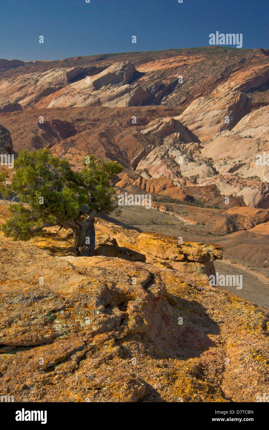 Halls Overlook, Waterpocket Fold, Capital Reef National Park, Utah