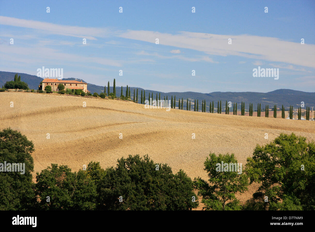 Country scene, Tuscany, Italy Stock Photo