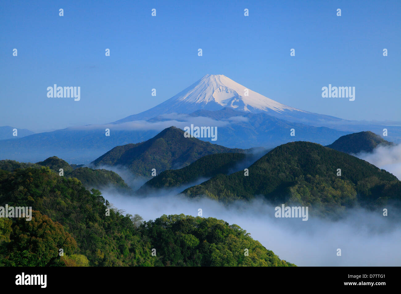 Mount Fuji and sea of clouds Stock Photo