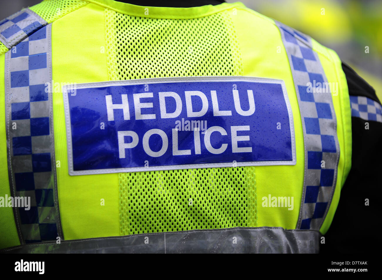 Back of a Welsh police officer. Stock Photo