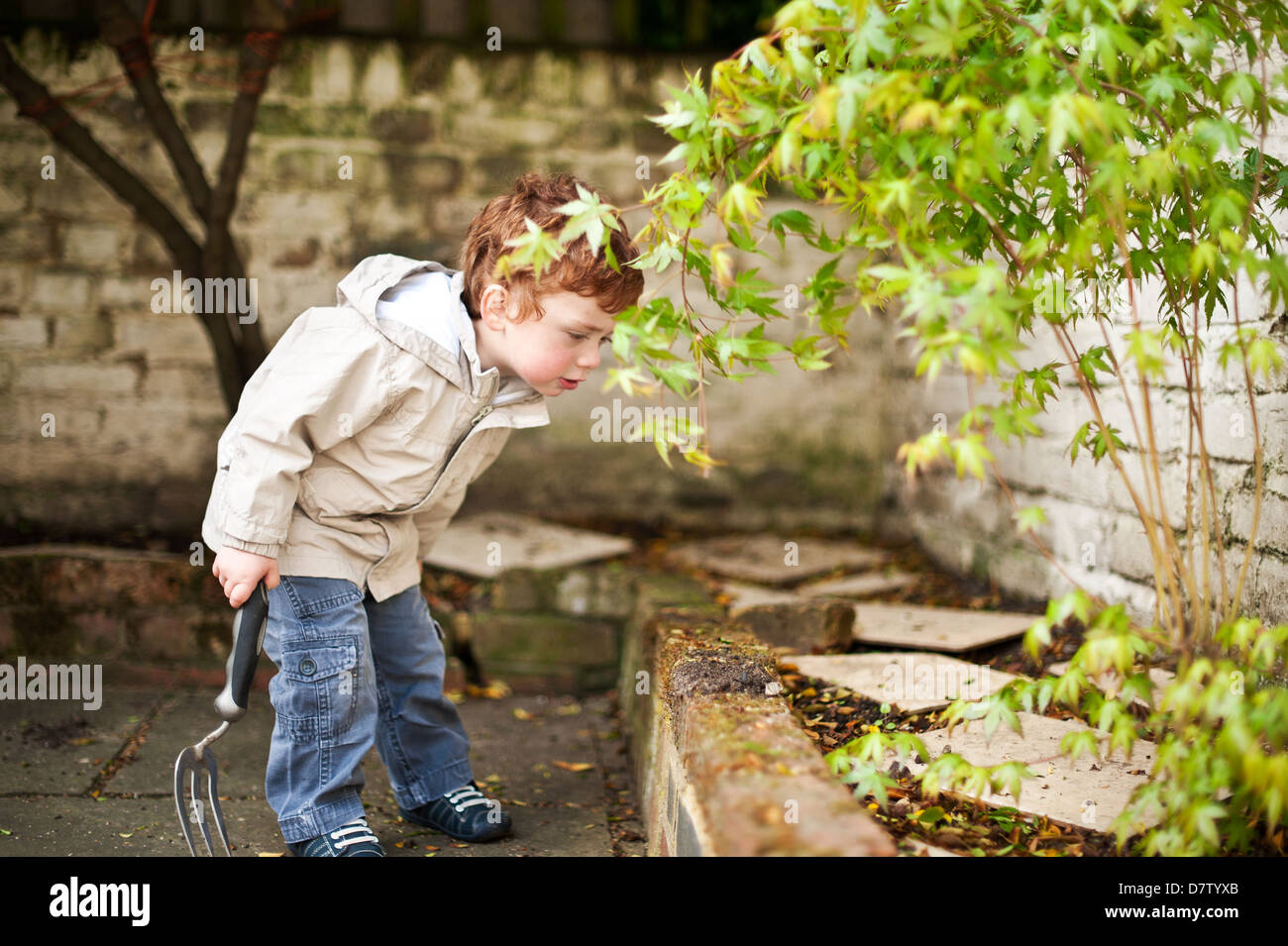 Cute little boy with ginger hair digging in the garden Stock Photo