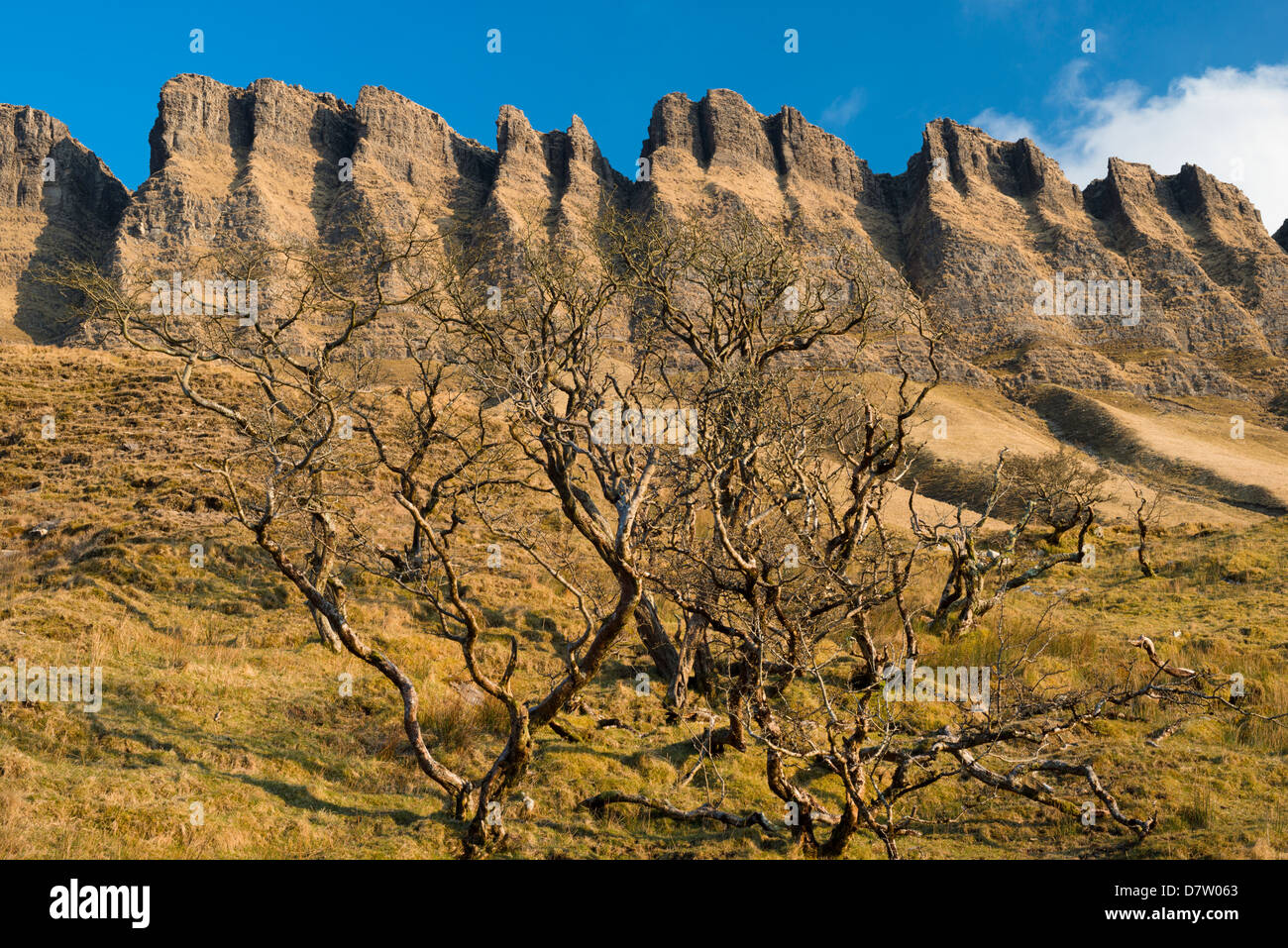 Part of the northern face of Benbulben, County Sligo, Ireland, one of Ireland's most iconic natural features Stock Photo