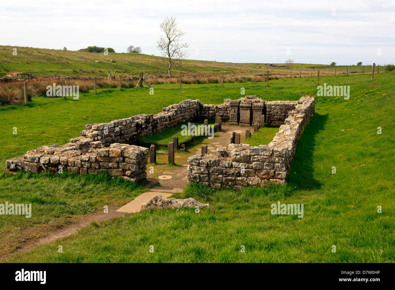 Temple of Mithras at Carrawburgh near Hadrian's Wall in Northern