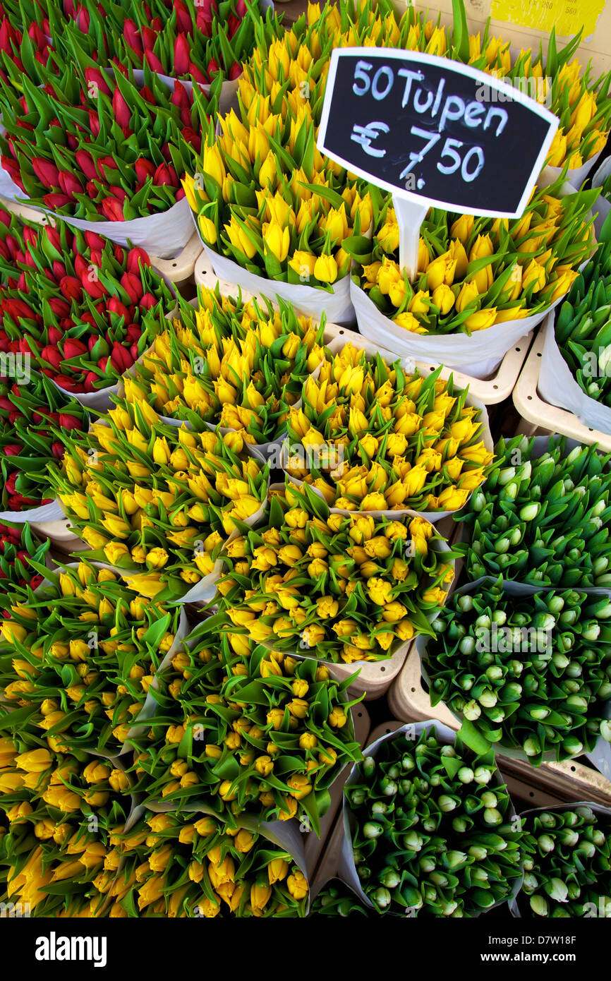 Bloemenmarkt Flower Market, Amsterdam, Netherlands Stock Photo Alamy