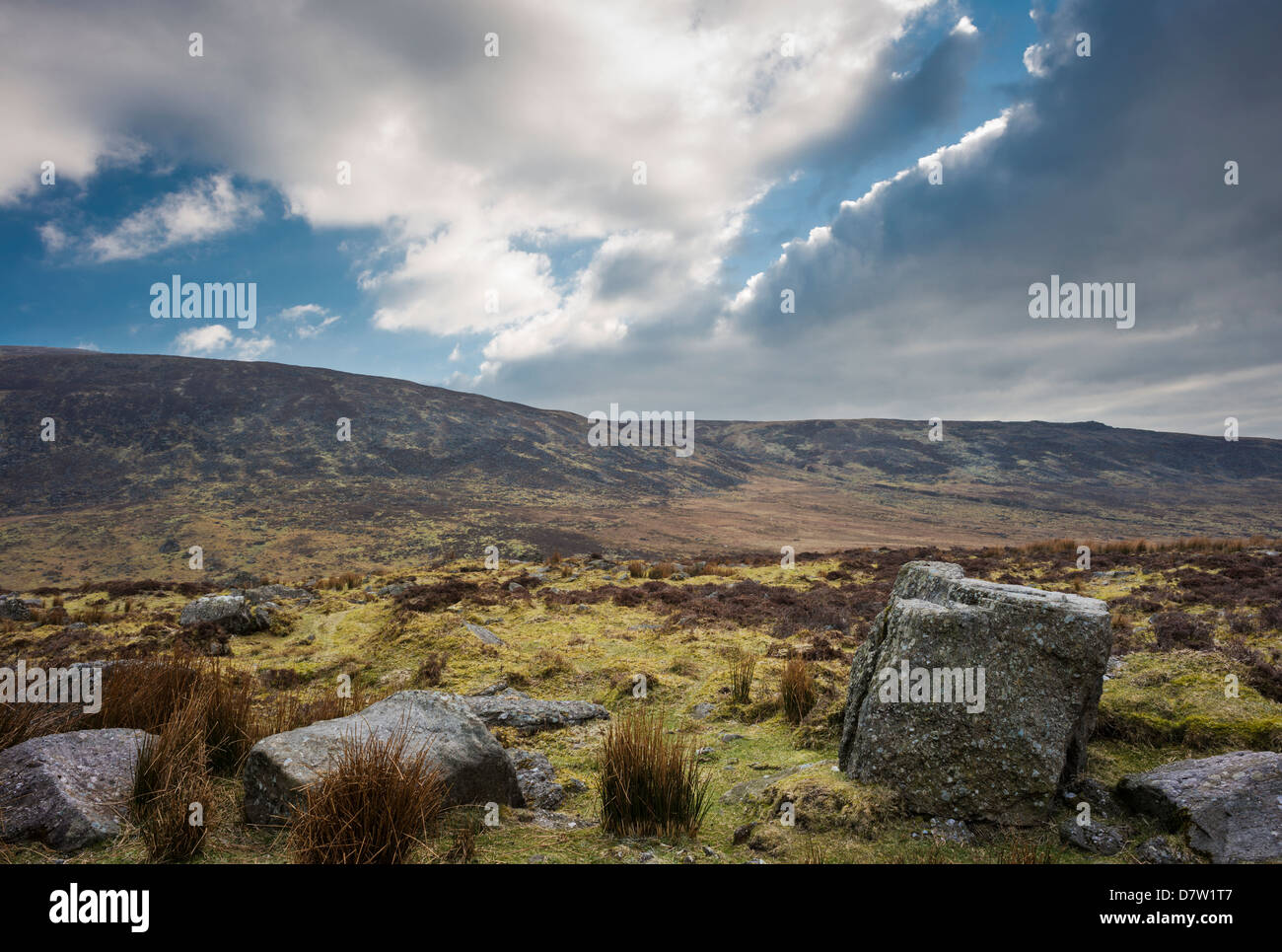 Devonian fluvial conglomerate boulders (Old Red Sandstone) near Mahon Falls, Comeragh Mountains, County Waterford, Ireland Stock Photo