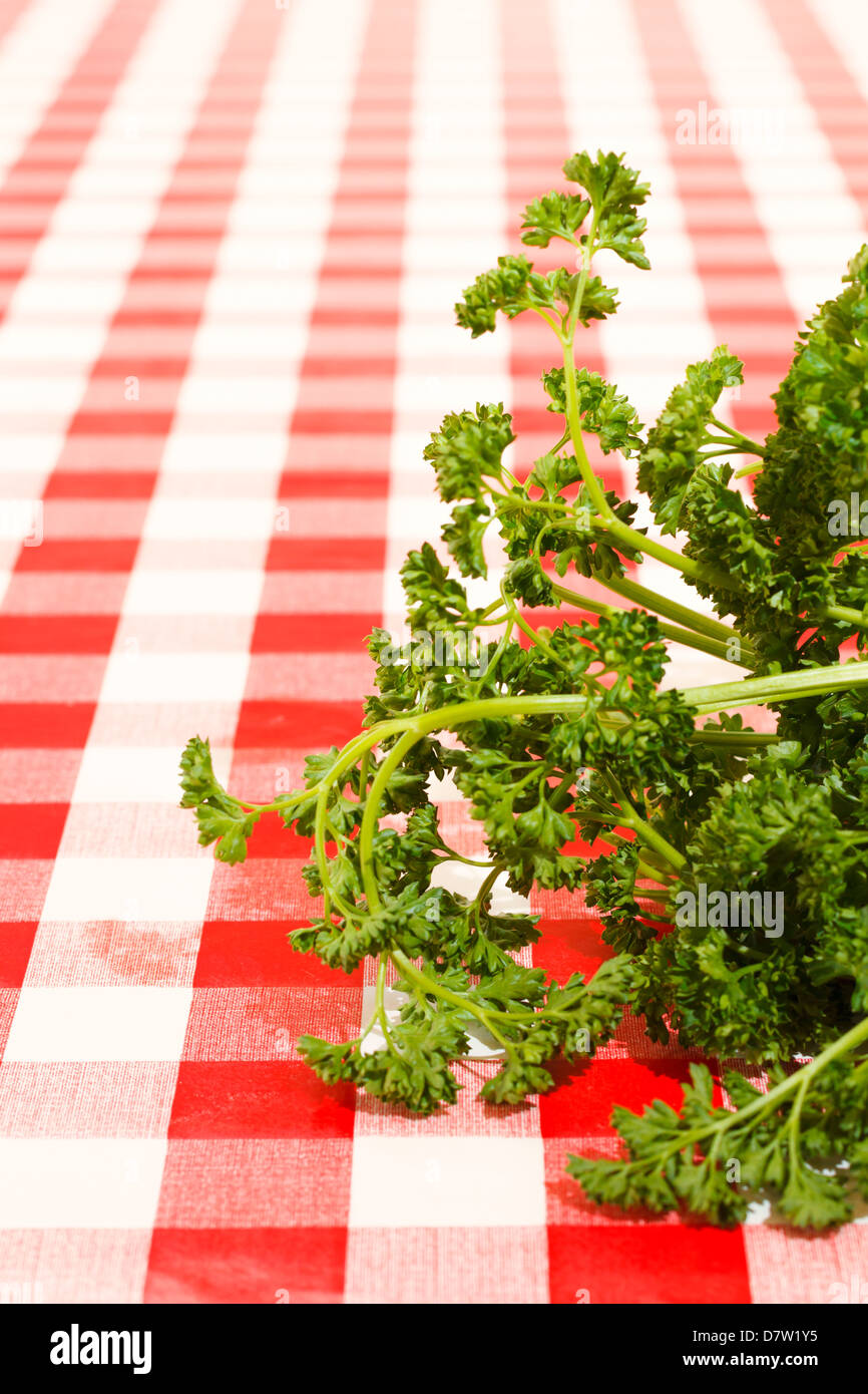 Parsley on red tablecloth. Stock Photo
