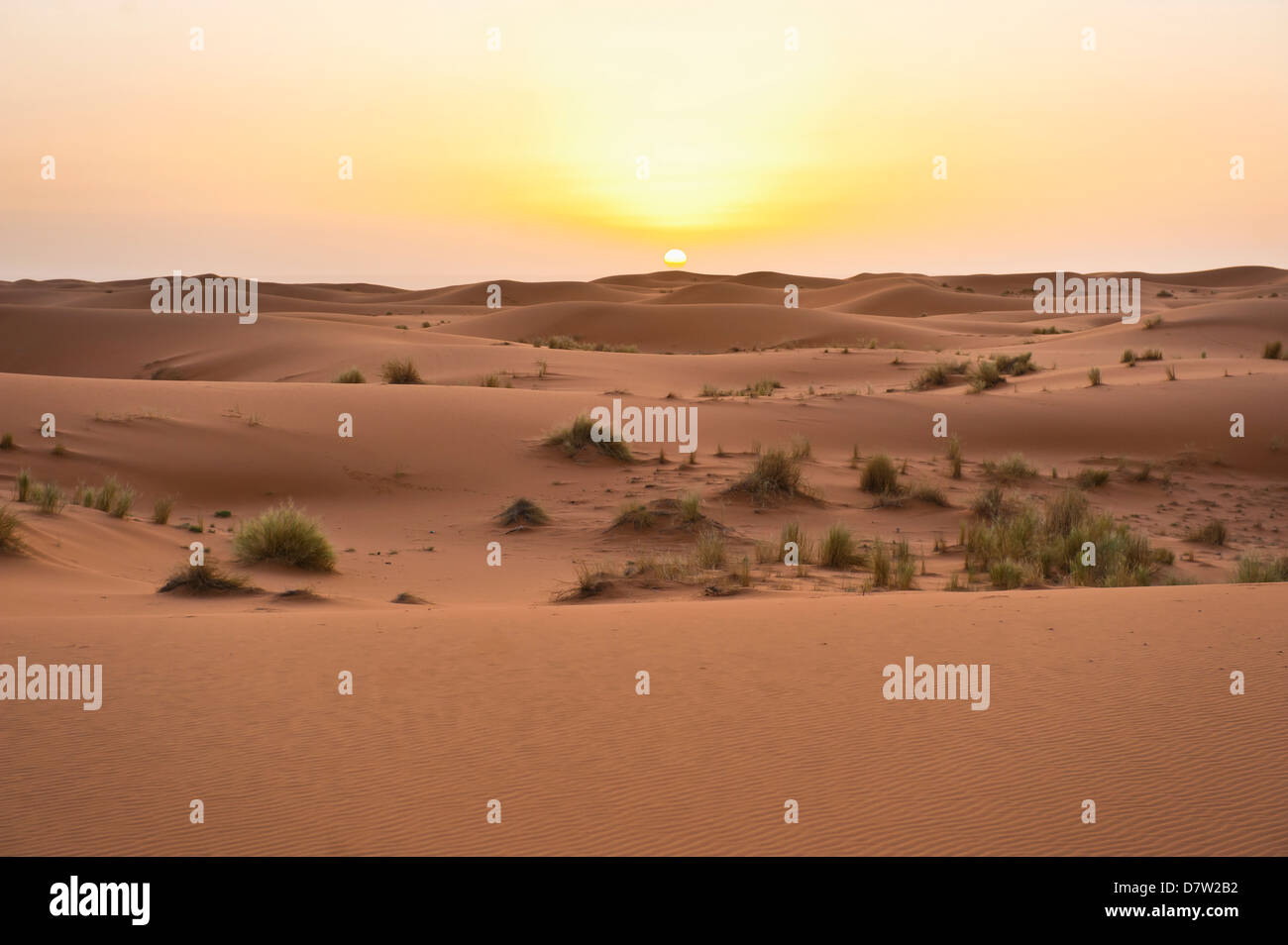 Erg Chebbi dunes at sunrise, Sahara Desert near Merzouga, Morocco, North Africa Stock Photo