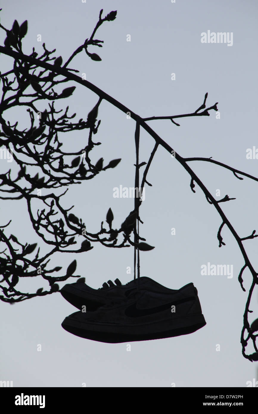 Shoes hanging from tree hires stock photography and images Alamy