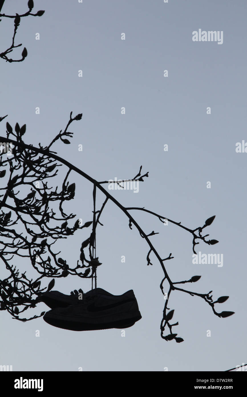 Shoes hanging from tree hires stock photography and images Alamy