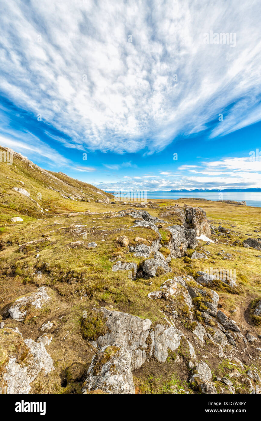 Alkehornet, Spitsbergen West coast, Svalbard archipelago, Norway, Scandinavia Stock Photo