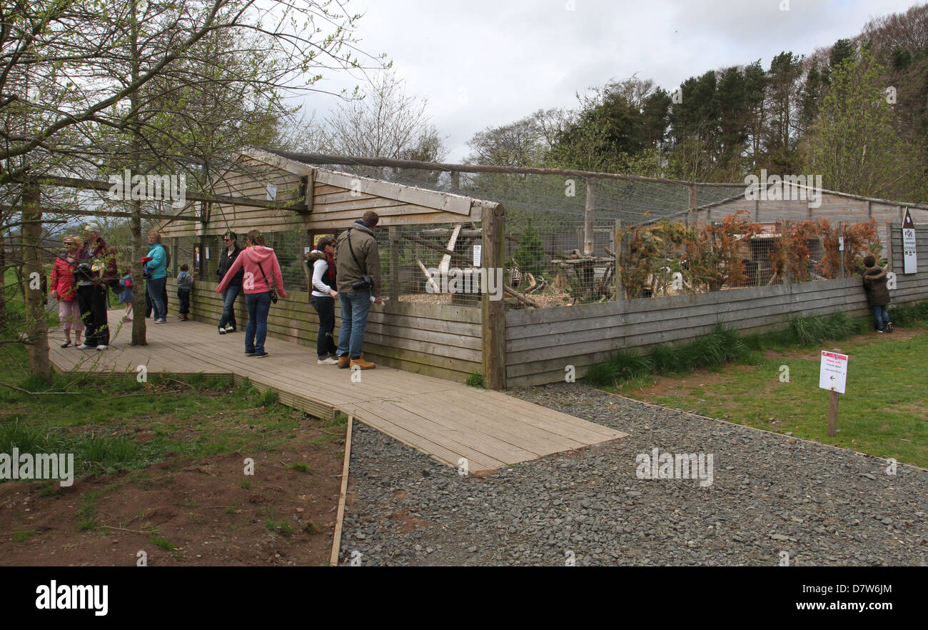 wildcat enclosure at Scottish Deer Centre Scotland May 2013 Stock Photo Alamy